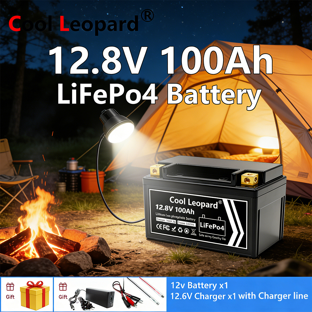 Lightweight 12V 100Ah LiFePO4  - Fish Finder Charger recension och pris